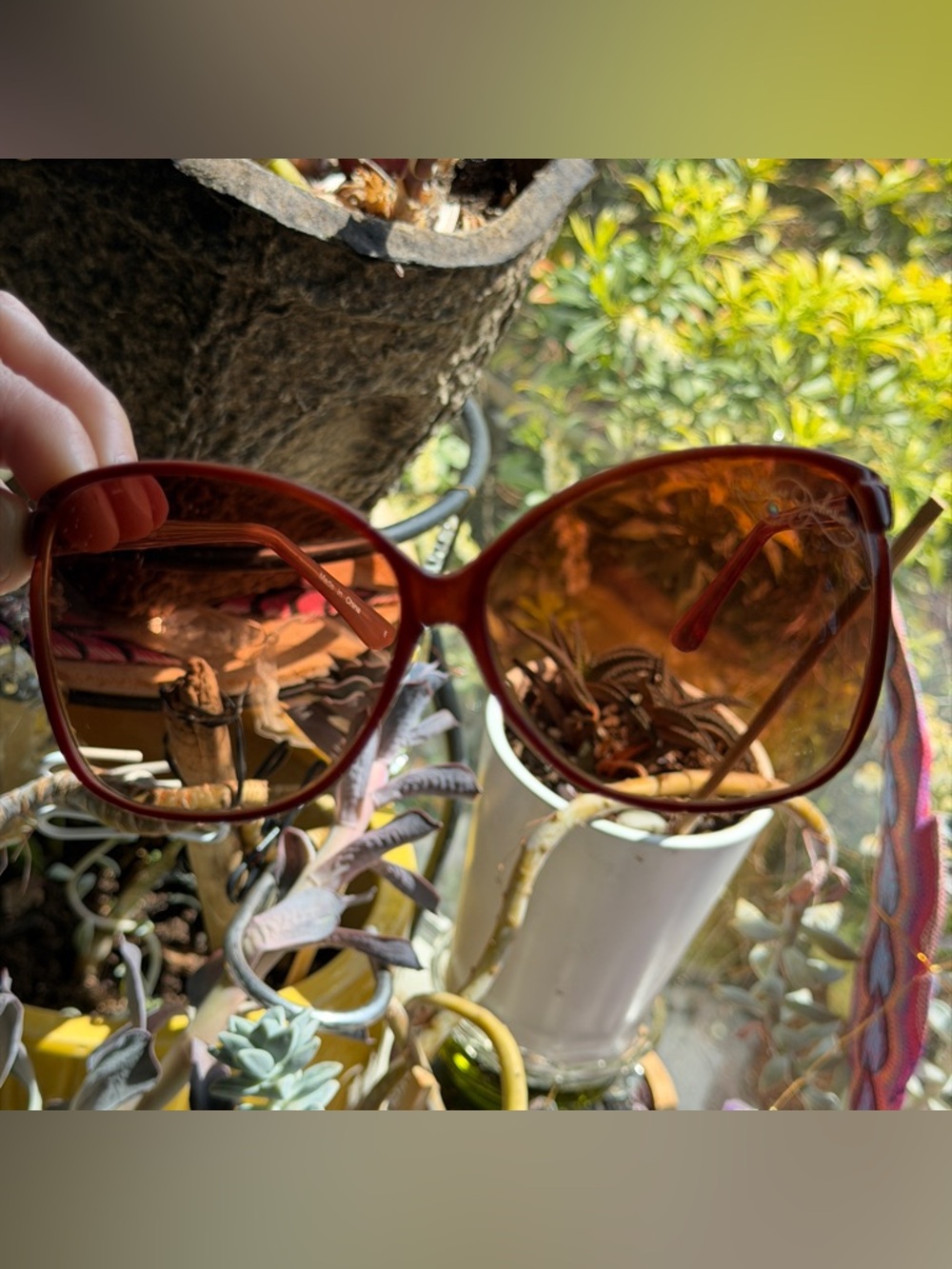 Betsey Johnson Sunglasses BJ163 espresso 60-13-143 Indie Sleaze Butterfly Brown